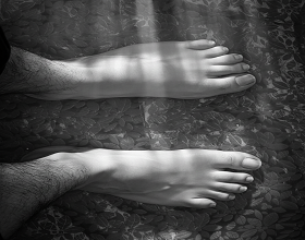 Libro web Simbología bíblica: El Lavatorio de pies